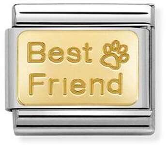 Nm 030121/50 Звено CLASSIC символ "BEST FRIEND" сталь/золото 750°