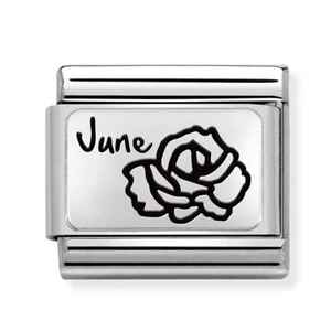 Nm 330112/18 Звено CLASSIC символ "ИЮНЬ-Роза" сталь/серебро 925°